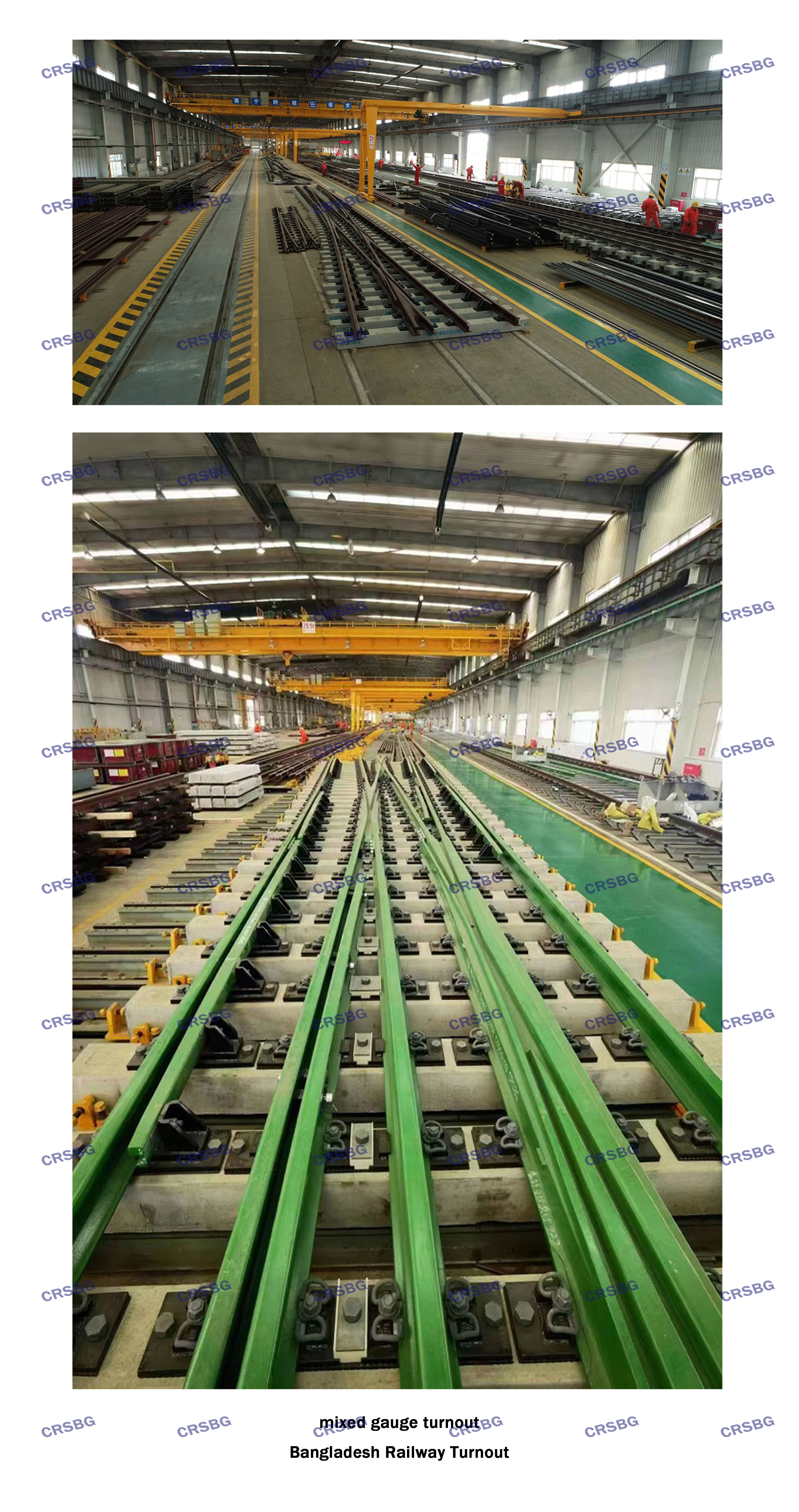 MIXED GAUGE TURNOUT（CRSBG水?。?jpg